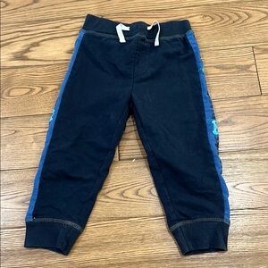 Blue and Black Jogger Sweatpants with Elastic Cuffs